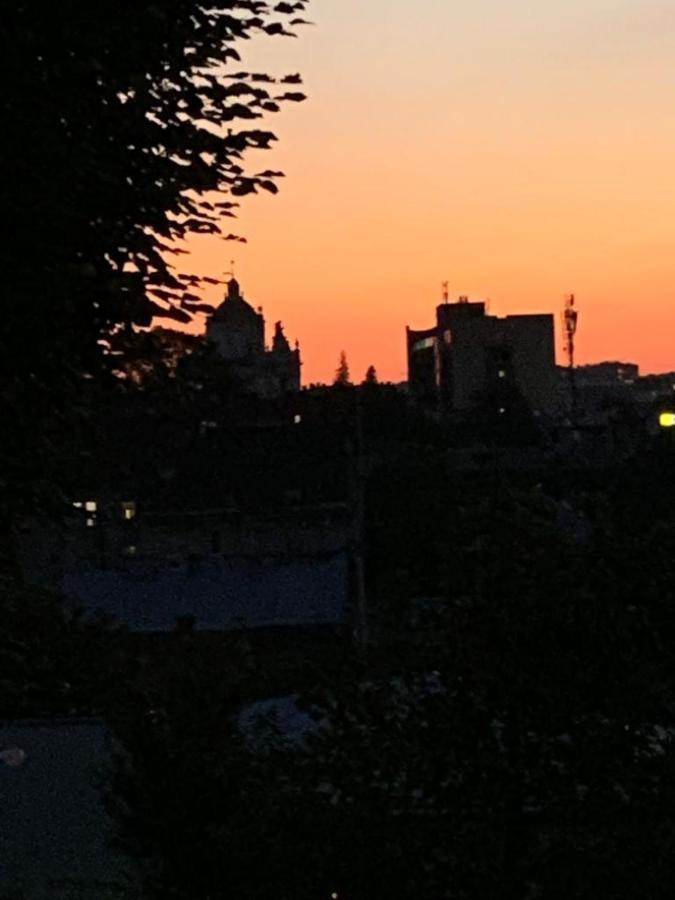 Citadel Vip Apartment Lviv Bagian luar foto
